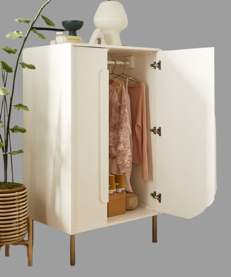 Wardrobe Closet