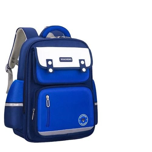 DENGGAO Well Designed School Bag With Good Material - Blue