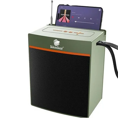 BoomBest LN-1036BT Mini Bluetooth Speaker – Deep Bass Wireless Sound System with FM &amp; USB