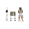 5M Aluminum Telescopic Extension Ladder – Multicolor