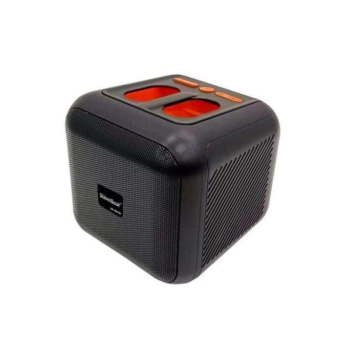 BoomBest LN-1007BT Mini Portable Wireless Bluetooth Speaker with FM, USB, TF & AUX – Black