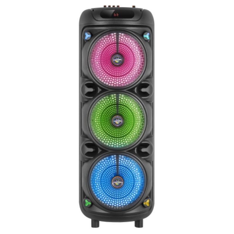 portable Bluetooth party speaker with microphone, built-in DJ lighting