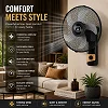 Panda 16 Inch Wall Fan – Buy 1 Get 1 Free, Strong Wind & Wide Oscillation
