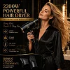 Panda 2200W Professional Hair Dryer – Powerful Fast Drying with Free Comb & Nozzle