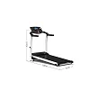 Foldable Electric Motorized Treadmill with Manual Incline – Home Fitness Machine
