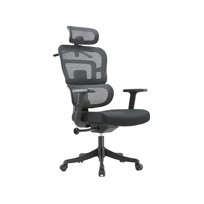 Ergonomic Office Chair with Reclining Function, Adjustable Armrests