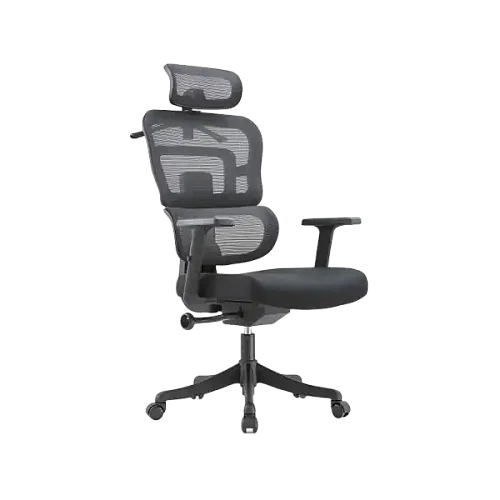 Ergonomic Office Chair with Reclining Function, Adjustable Armrests