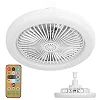 Small Fan Light Silent Ceiling Fan with LED Light Adjustable Color