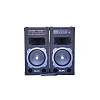 AILIPU Dual 10" Amplified Public Address Speaker- Black