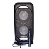 Rechargeable 12"  Dual Amplified Public Address Speaker With 3 Microphones, Fm,  USB/SD, Remote Control,  Recording Function