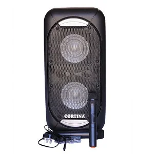 Rechargeable 12" Dual Amplified Public Address Speaker With 3 Microphones, Fm, USB/SD, Remote Control, Recording Function