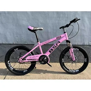 Size 20 Kids Sports Bicycle (9- 14 Years) With Dual Brakes And Designs Vary-Multicolours