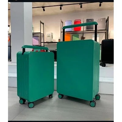 Leaves King GREY LUXURY HARDSHELL Luggage- 2set