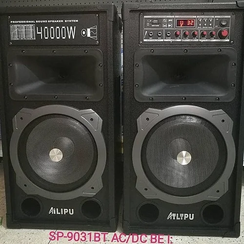 AILIPU Dual 10" Amplified Public Address Speaker 40000W- Black