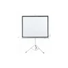 Tripod Projector Screen 240 X 240 cm - White