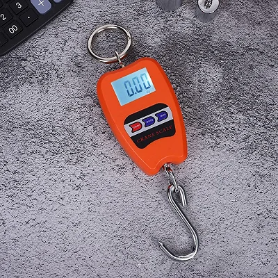 Hanging 200kg Crane Weighing Scale With Clear Digital Screen