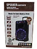 15 Inch Jazz Amplified Professional Bluetooth Speaker System With USB, Fm Radio, Two Microphone