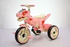 Kids Tricycle for Toddlers 2-5 Year, Dinosaur Kids Trike with arge Basket, Toddler Bike Baby Balance Bike with Light Music, Birthday Gift and Toy for Boys and Girls - Multicolor