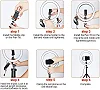10 Inch selfie LED Beauty Ring Light / ringlight Tripod Stand for Makeup/Live Stream/TikTok/YouTube - Black
