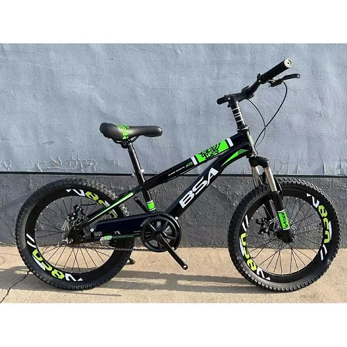 20 Inch Kids Sports Bicycle For Ages (8 - 13 Yrs) With Dual Brakes And Designs Vary-Multicolor