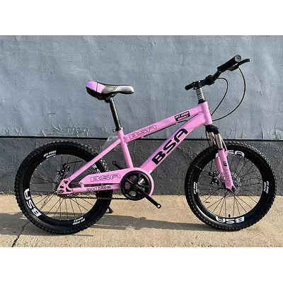 20 Inch Kids Sports Bicycle For Ages (8 - 13 Yrs)