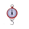 100kg Original Hanson Heavy Duty Hanging Weighing Scale-  Red.