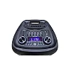Saachi Professional Amplified Outdoor Speaker With Bluetooth/TWS/FM/LED Bundle With Wireless Mic - Black