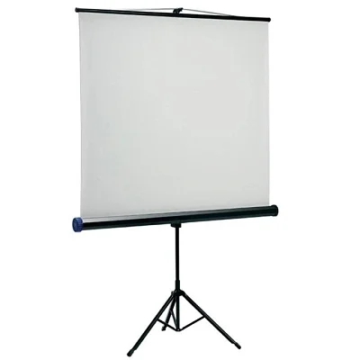 Projector Screen – 200x200 cm - White