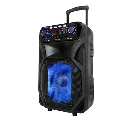 Smart Plus 12″ Amplified Public Address Speaker Rechargeable – Black