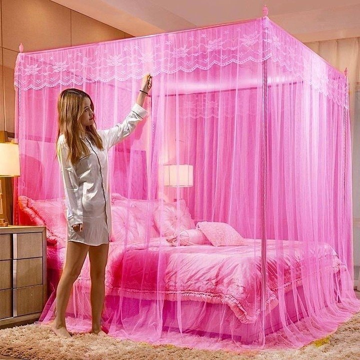 4x6 Size 4 Stand Steel Frame Mosquito -Pink