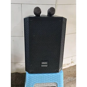 Global Star Rechargeable Portable Wireless Amplified Speaker with Mic & Guitar Input
