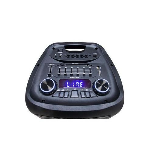 Saachi Professional Amplified Outdoor Speaker With Bluetooth/TWS/FM/LED Bundle With Wireless Mic - Black