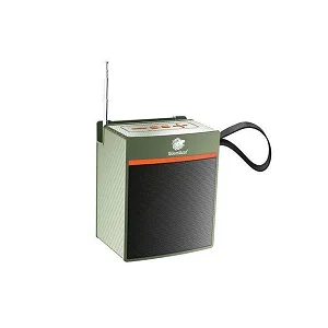BoomBest LN-1036BT Mini Wireless Bluetooth Speaker with Deep Bass, FM, USB, AUX & TF