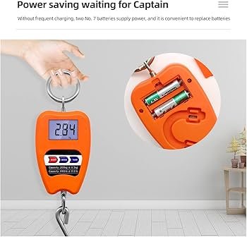 Hanging 200kg Crane Weighing Scale With Clear Digital Screen