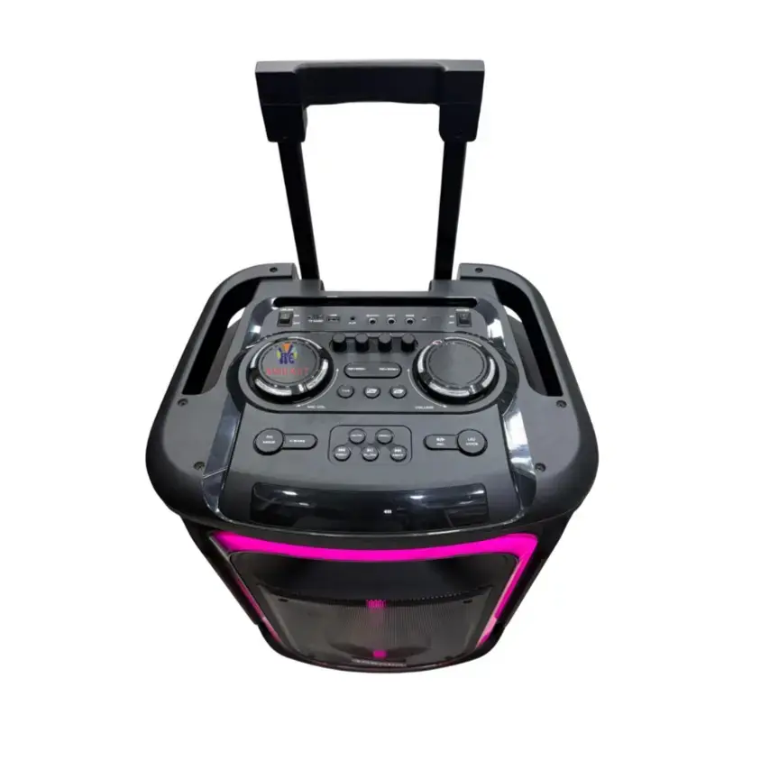 Ailipu Rechargeable Party Speaker with Bluetooth, TWS, and Wireless Microphone Inputs