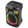 Ailipu Rechargeable Party Speaker with Bluetooth, TWS & Wireless Microphone