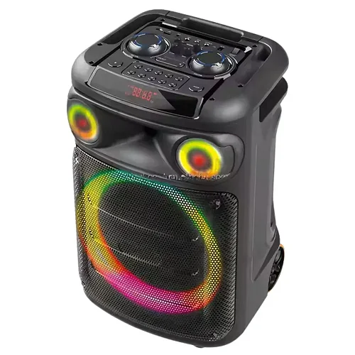 Ailipu Rechargeable Party Speaker with Bluetooth, TWS &amp; Wireless Microphone