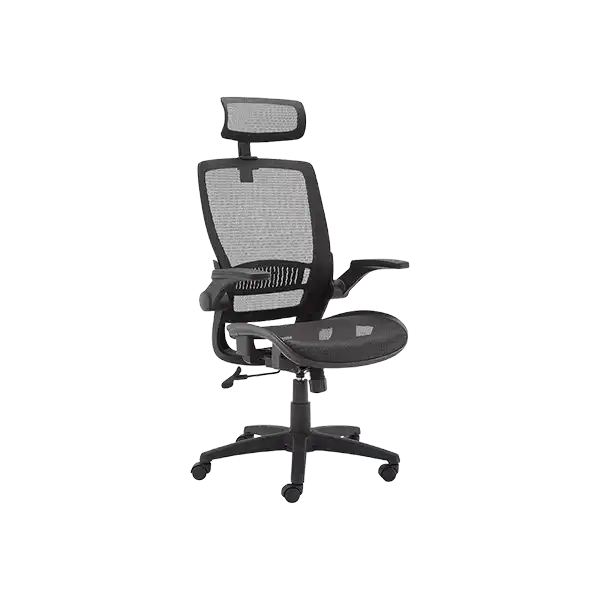 High Back 17 Inch Black Mesh Executive Chair