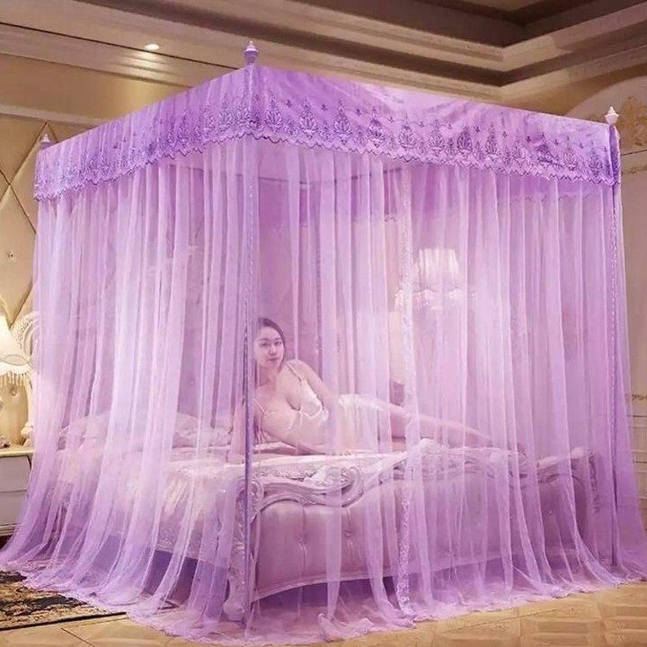 6x6 Mosquito Net With Stands - purple
