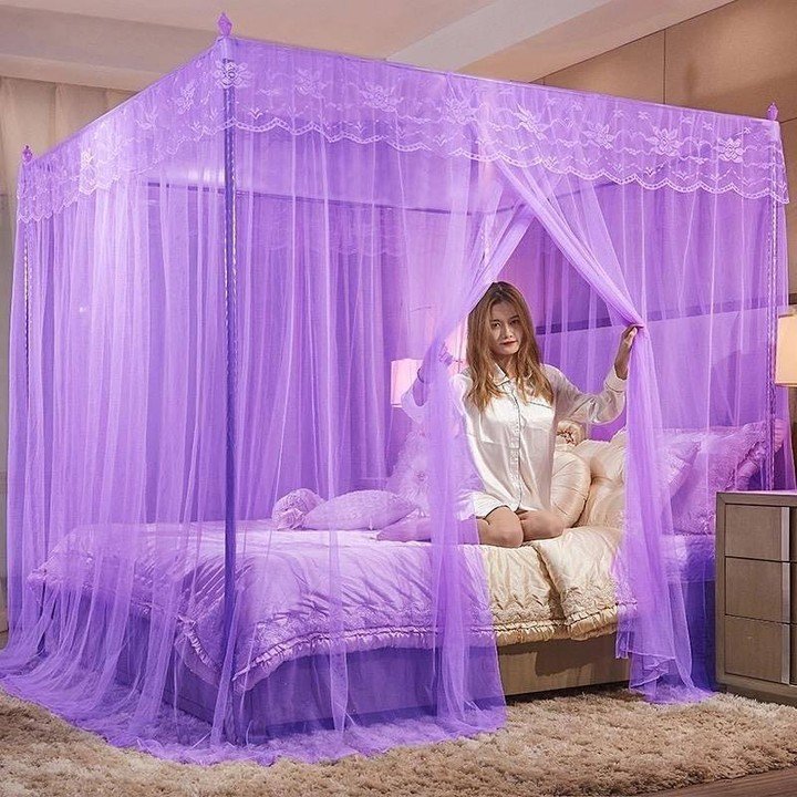 5x6 Mosquito Net With Stands - purple