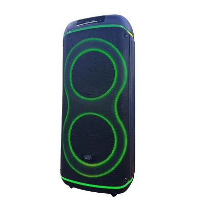 AILIPU Karaoke Speaker System with Wireless Connectivity, TWS &amp; LED Party Lighting