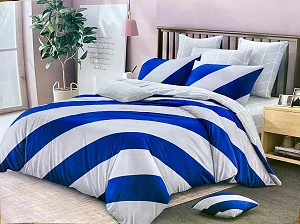 5×6 Duvet Set – 1 Duvet, 1 Bedsheet & 2 Pillowcases – Multicolour Printed Bedding Set