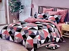 5×6 Duvet Set – Duvet, Bedsheet & 2 Pillowcases – Multicolor