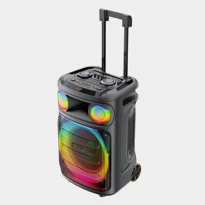 Ailipu Portable Party Speaker with TWS & Wireless Microphone