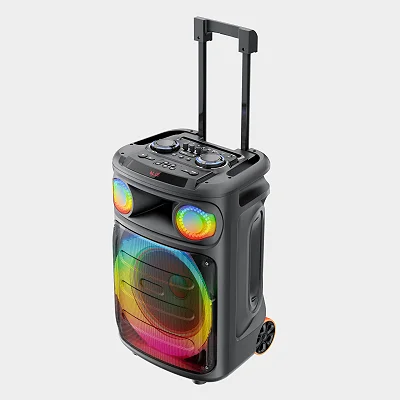 Ailipu Portable Party Speaker with TWS &amp; Wireless Microphone