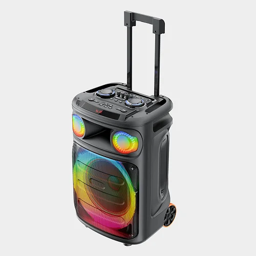 Ailipu Portable Party Speaker with TWS &amp; Wireless Microphone