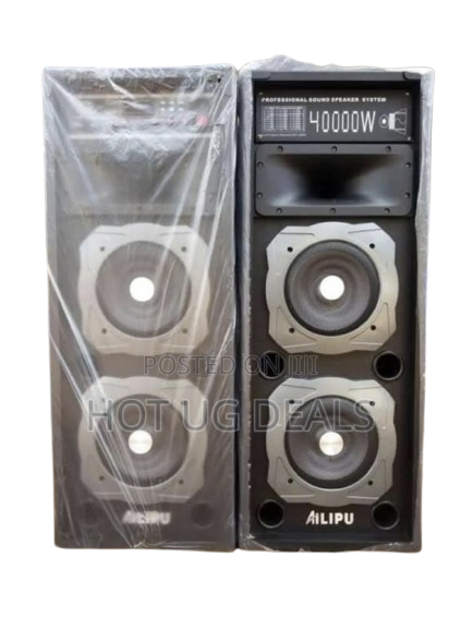 2 Professional Sound Speaker Systems With 2 Wireless Microphones