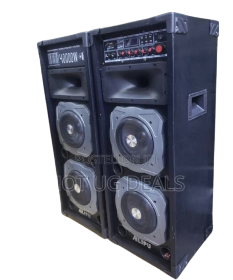 2 Professional Sound Speaker Systems With 2 Wireless Microphones (Copy)