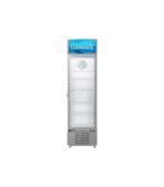 Hisense 370litres display freezer