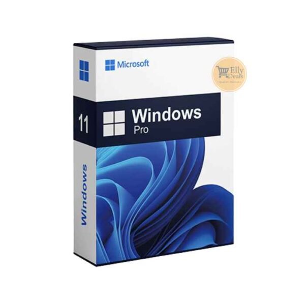 Microsoft Windows 11 Pro